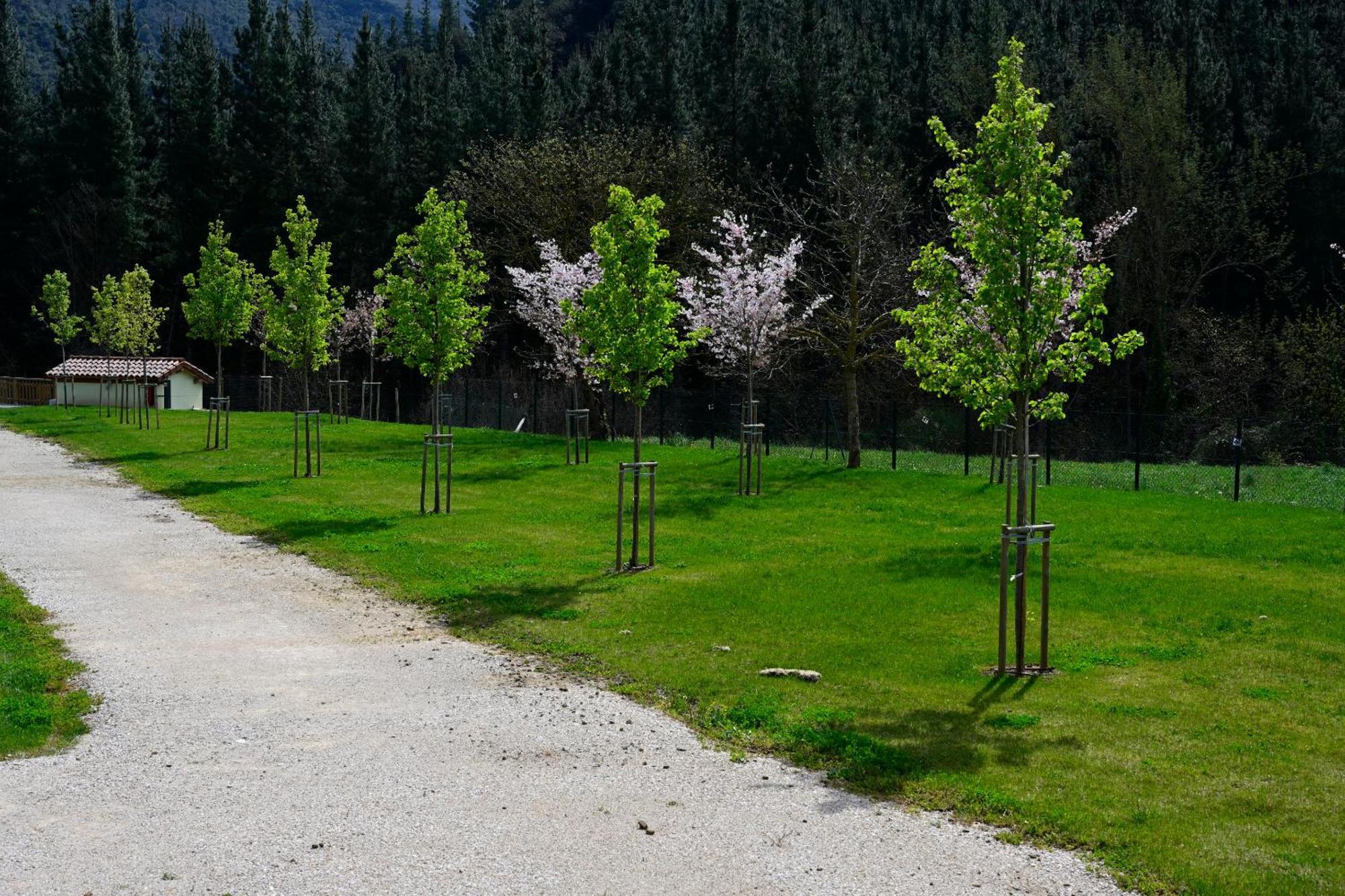 Camping Liebana Cabezon de Liebana Ngoại thất bức ảnh